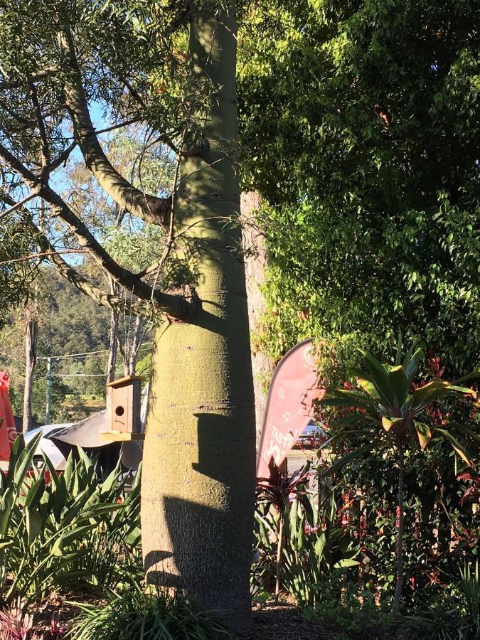 The Canungra Motel المظهر الخارجي الصورة